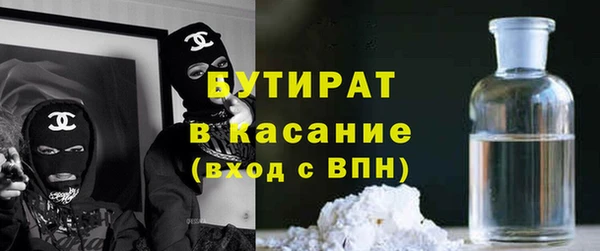 индика Алзамай