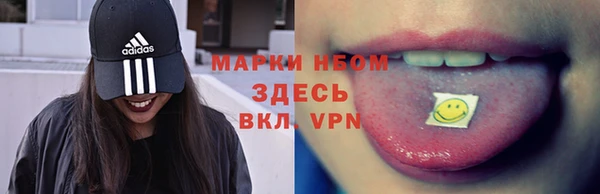 индика Алзамай