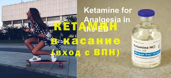 сатива Дмитровск