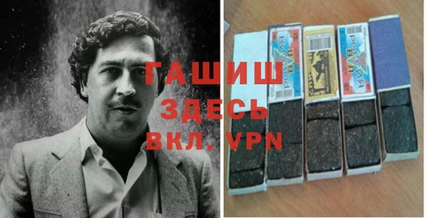 индика Алзамай