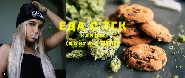 индика Алзамай
