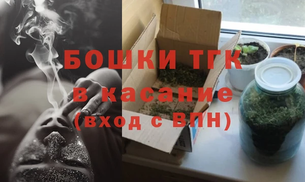 индика Алзамай