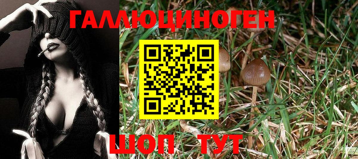 Псилоцибиновые грибы Magic Shrooms Гуково