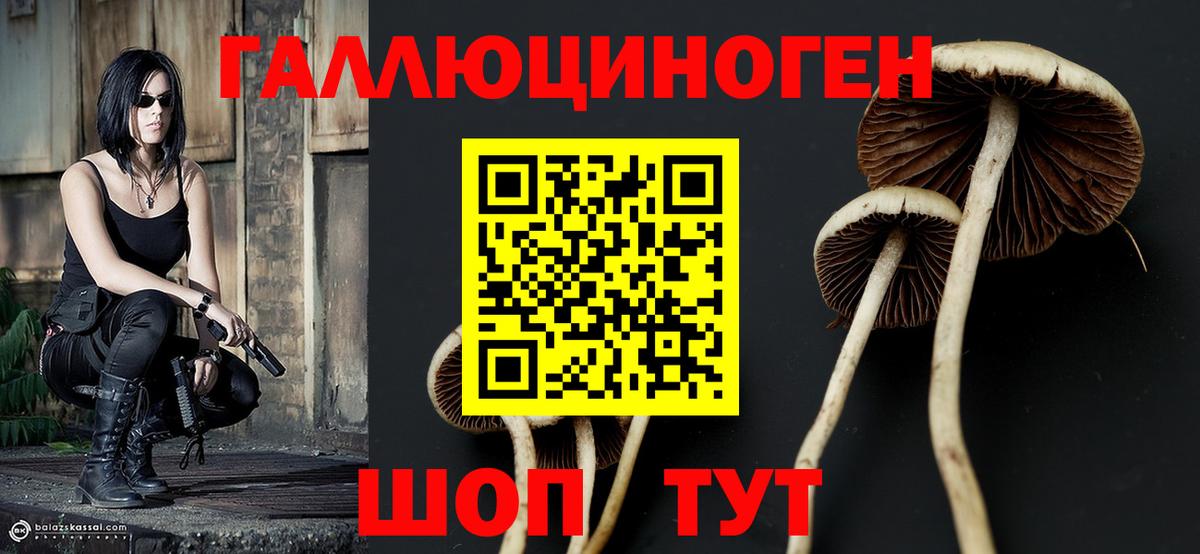 Галлюциногенные грибы MAGIC MUSHROOMS  Вход с VPN  Гуково  Псилоцибиновые грибы прущие грибы 